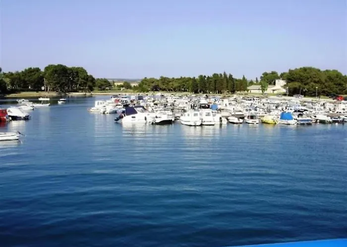 Modern With Private Pool And Garden Villa *