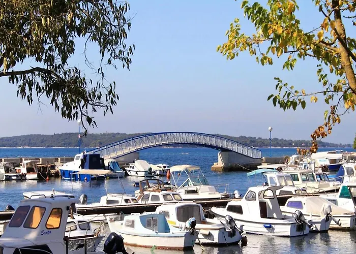 Villa Modern With Private Pool And Garden