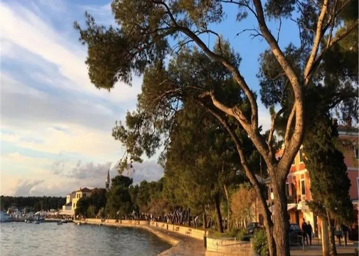 Modern With Private Pool And Garden